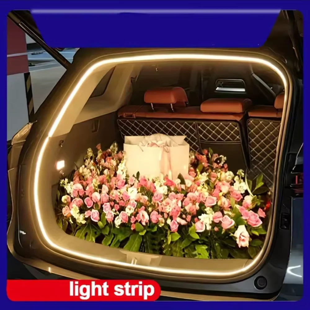 Automatic Sensing Ambient Light – Smart Motion Sensor LED
