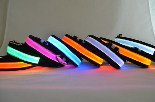 LED Dog Collar – Glowing Safety Collar for Night Walks