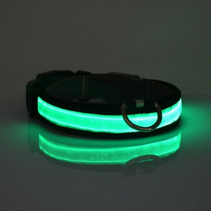 LED Dog Collar – Glowing Safety Collar for Night Walks