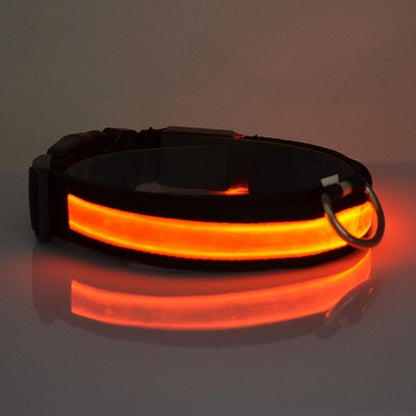 LED Dog Collar – Glowing Safety Collar for Night Walks
